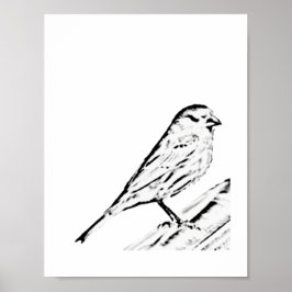 Póster Poster - Wren a color