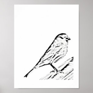 Póster Poster - Wren a color