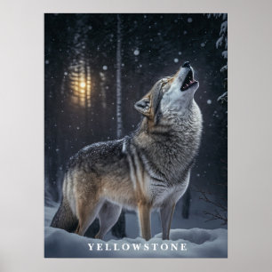 Póster Poster Yellowstone Wolf