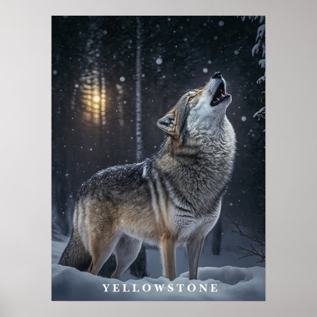 Póster Poster Yellowstone Wolf (Frente)