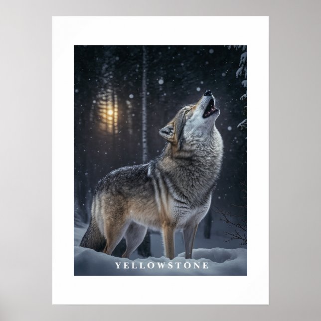 Póster Poster Yellowstone Wolf (Frente)