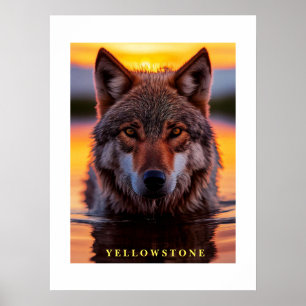 Póster Poster Yellowstone Wolf