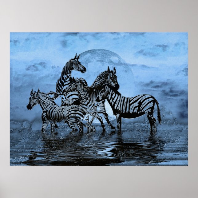 Póster Poster Zebras5 (Frente)