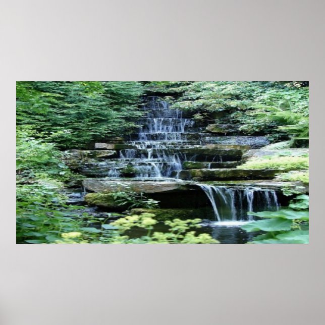 Póster Poster Zen (Frente)