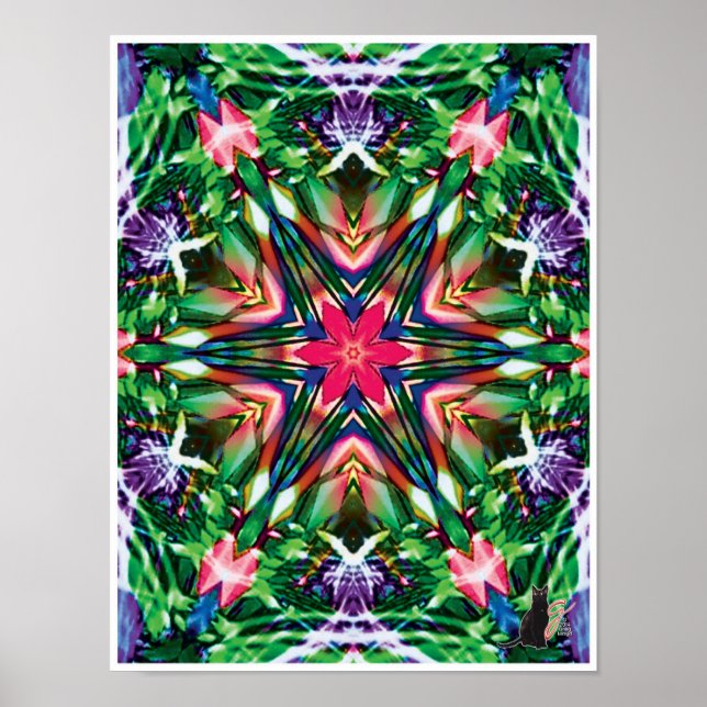 Póster Poster Zesty Kinetic Collage Kaleidoscope (Frente)