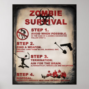 Póster Poster ZOMBIE SURVIVAL
