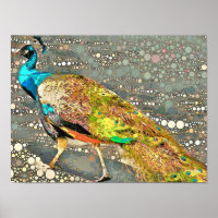Poster Zoo Peacock