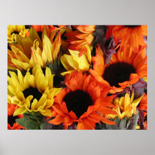 Póster Posters, SUNFLOWERS # 1