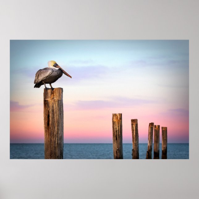 Póster Posts y una Pelican | Fort Myers Beach, Florida (Frente)