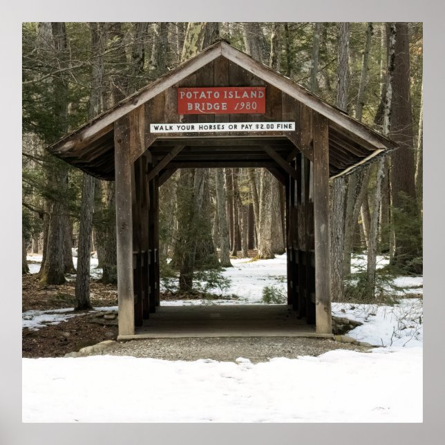 Póster Potato Island Bridge (Frente)