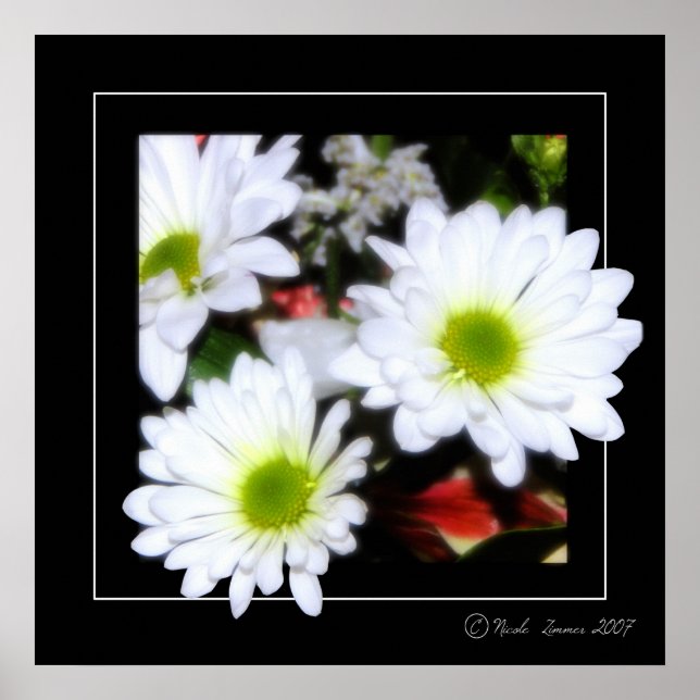 Póster Potencia de flor (Frente)