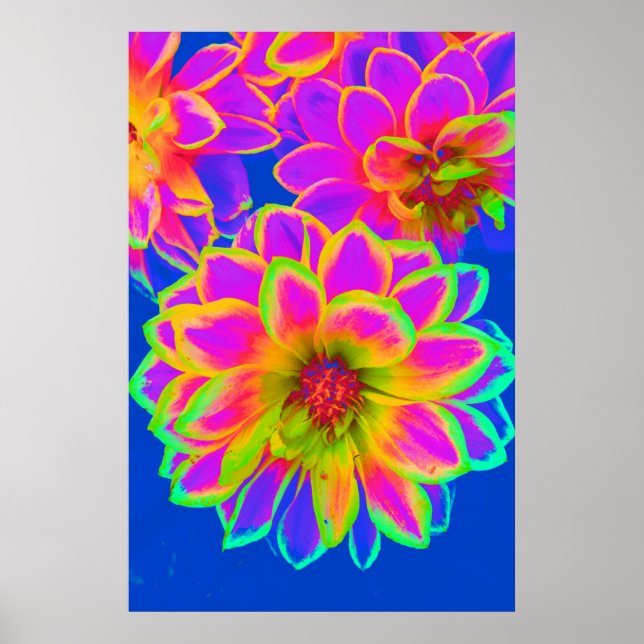 Póster Potencia de flor rosa (Frente)