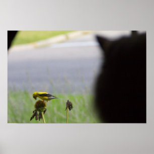 Póster Potencial almuerzo - Gato y pájaro