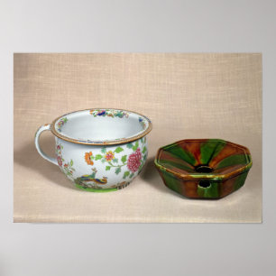 Póster Potes bicamerales