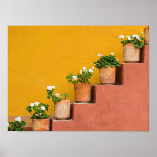 Póster Potted flowers on staircase