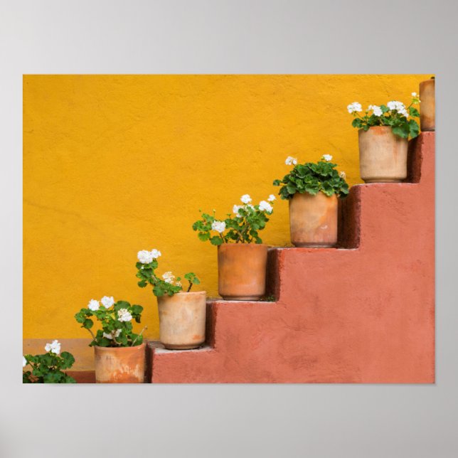 Póster Potted flowers on staircase (Frente)