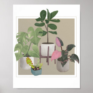 Póster Potted Houseplants