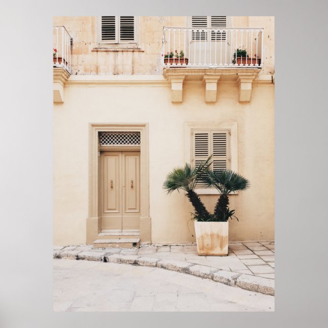 Póster Potter plant near concrete house (Frente)