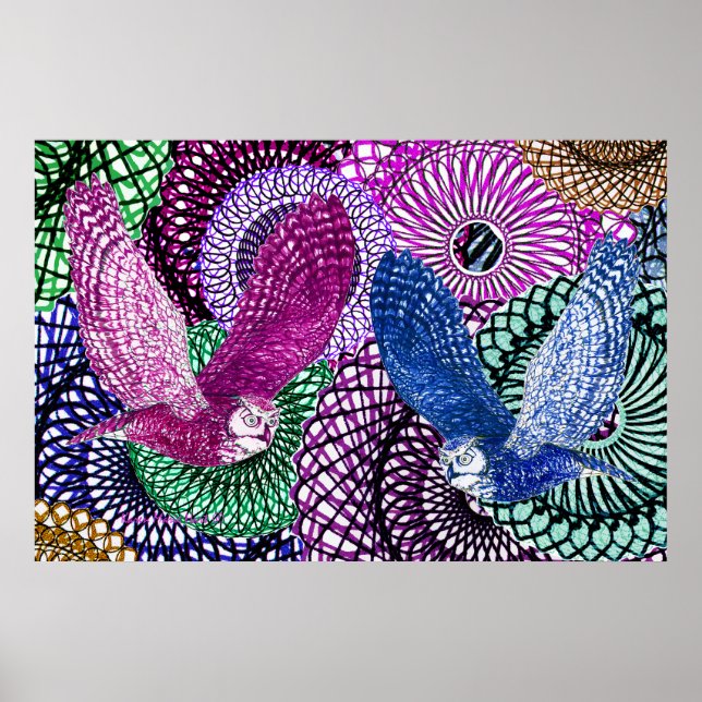 Póster Powerful Owls (Frente)