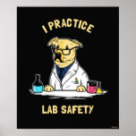 Póster Practico la seguridad de laboratorio<br><div class="desc">La gráfica de perro "Yo practico la seguridad de laboratorio" diseñada por bCreative muestra un labrador dorado en un laboratorio! ¡Esto es un gran regalo para la familia, los amigos o un regalo para usted mismo! Este gráfico divertido es una gran adición al estilo de cualquiera. bCreative es un creador...</div>