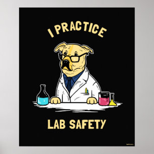 Póster Practico la seguridad de laboratorio