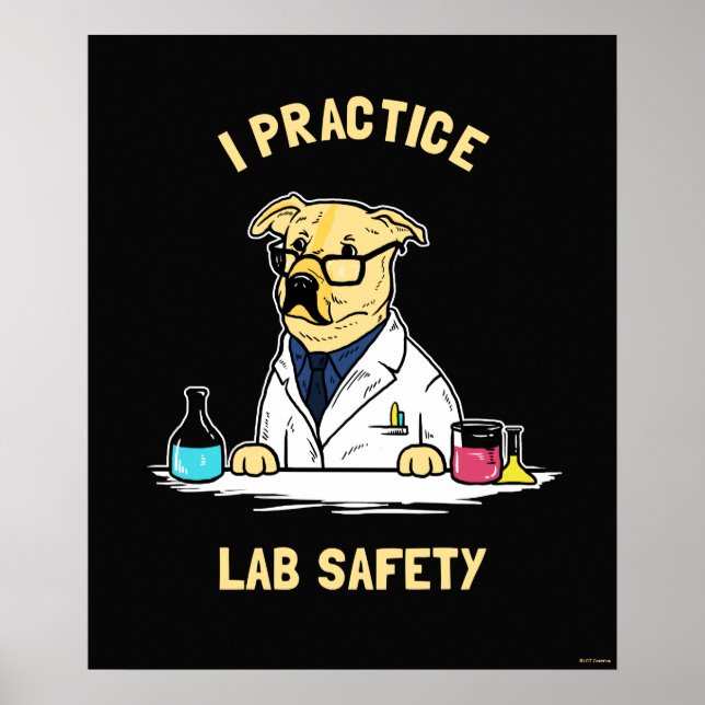 Póster Practico la seguridad de laboratorio (Frente)