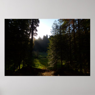 Póster Pradera Crescent al amanecer en el Parque Nacional