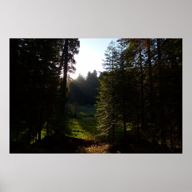 Póster Pradera Crescent al amanecer en el Parque Nacional (Frente)