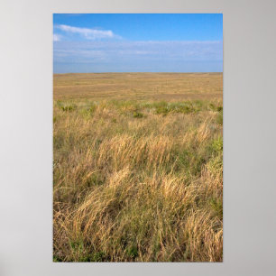 Póster Pradera de pastizales al este de Sidney, Nebraska.