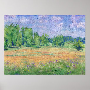 Póster Pradera rusa