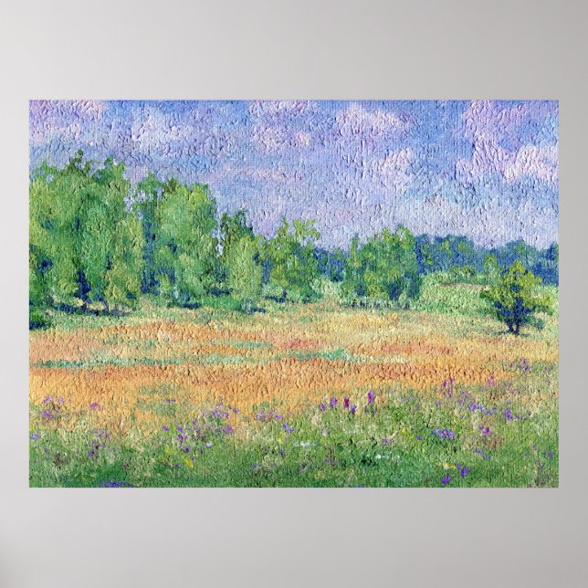 Póster Pradera rusa (Frente)