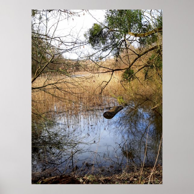 Póster praderas naturales (Frente)