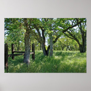 Póster "Prado de la primavera "