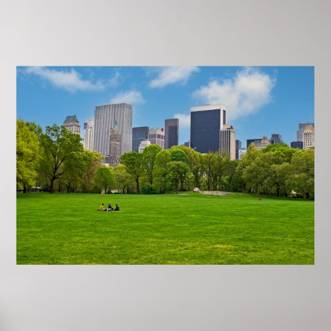 Póster Prado de las Ovejas de Primavera (Frente)