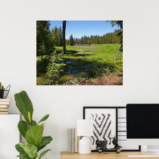 Póster Prado de Yosemite con estrellas fugaces