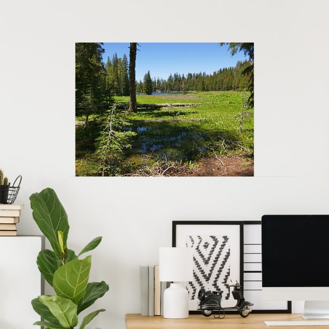 Póster Prado de Yosemite con estrellas fugaces (Oficina en casa)
