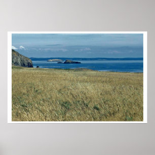 Póster Prado del mar