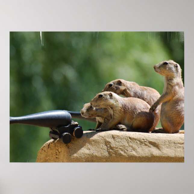Póster Prairie Dog Soldiers Poster (Frente)