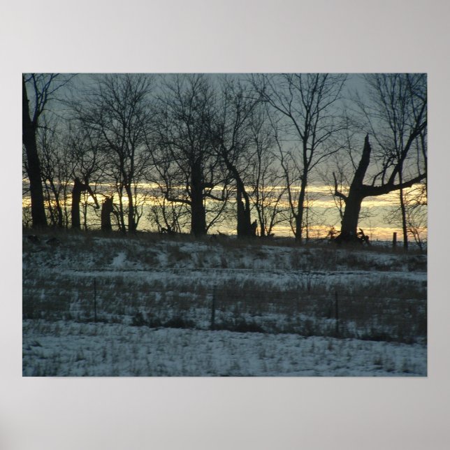 Póster Prairie Gold (Frente)