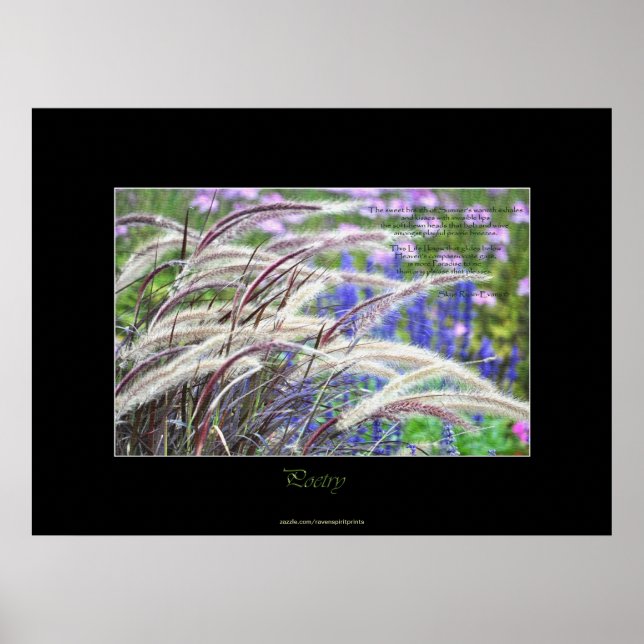 Póster Prairie Grasses & Poem Nature Art Poster (Frente)