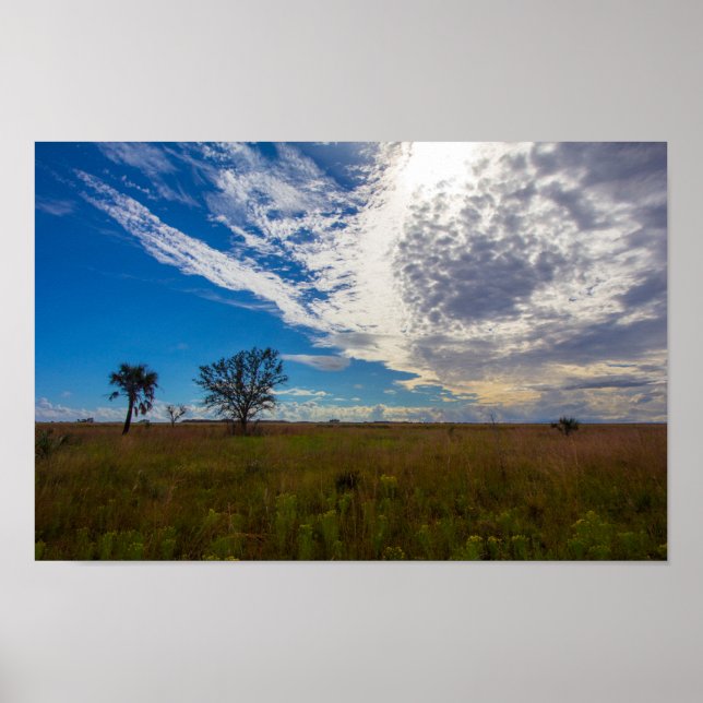Póster Prairie, Parque Estatal Kissimmee Prairie Preserve (Frente)