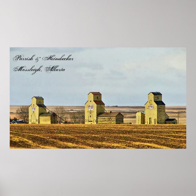 Póster Prairie Sentinels Mossleigh Alberta Poster (Frente)