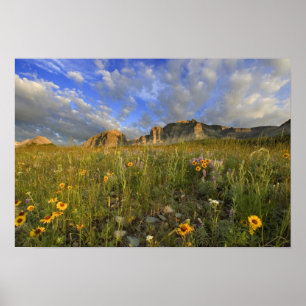 Póster Prairie WildFlores en Windy Creek en los muchos