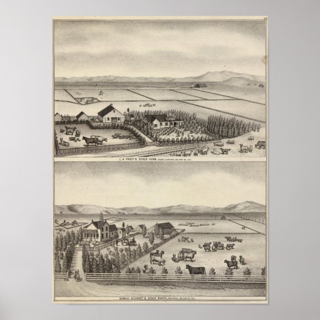 Póster Pratt, Stewart farms (Frente)