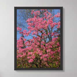 Póster Preciosas Azaleas Rosadas Florales