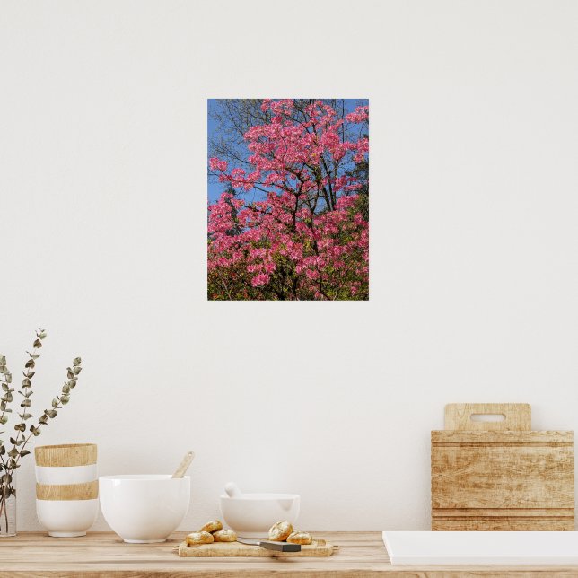 Póster Preciosas Azaleas Rosadas Florales (Cocina)