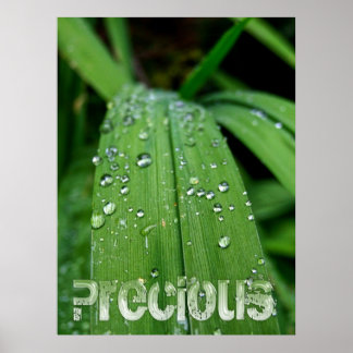 Póster Preciosos regalos del Poster de la Naturaleza