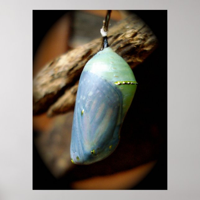 Póster Precipitación (Frente)