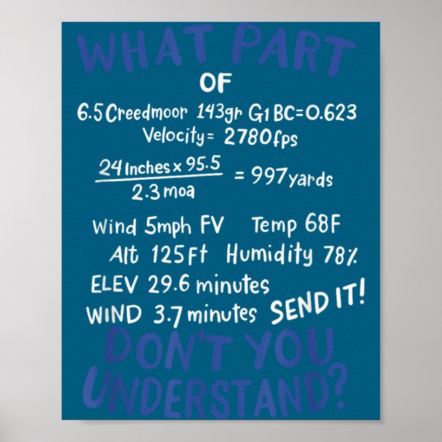 Póster Precision Shooting Funny Gun Shooting Srts Gun Lov (Frente)