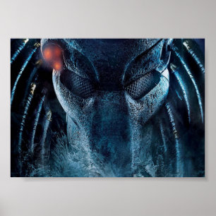 Póster Predador